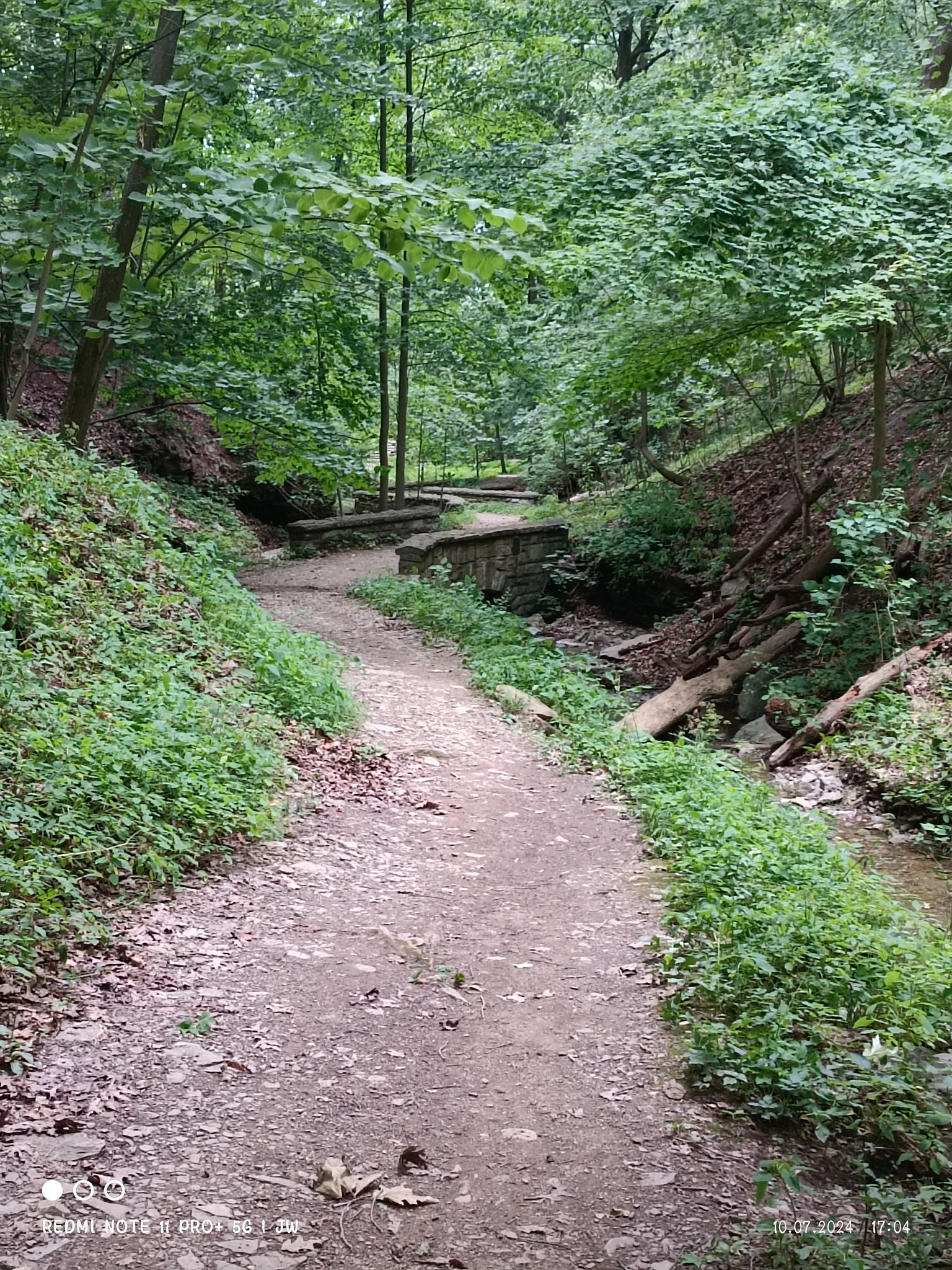 A dirt path winds through a lush green forest with a stone bridge. - Panther Hollow Loop