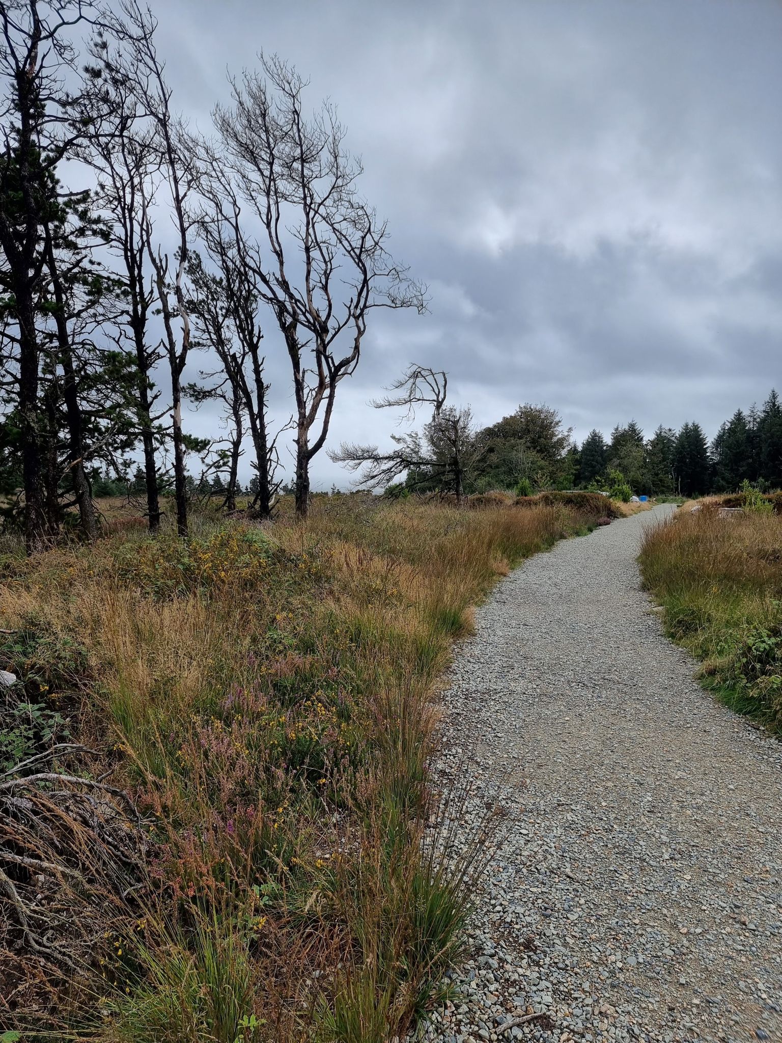 nice path, not on the map though