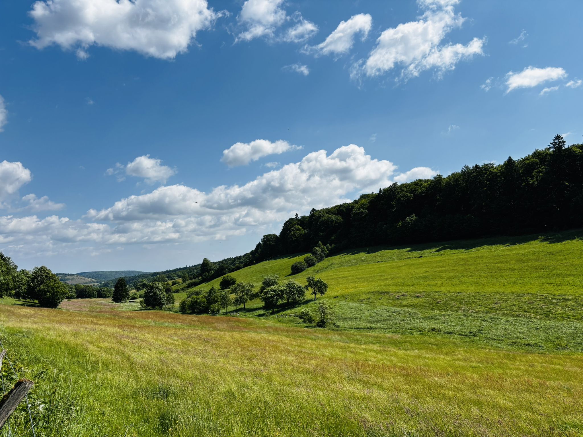 Hellental
