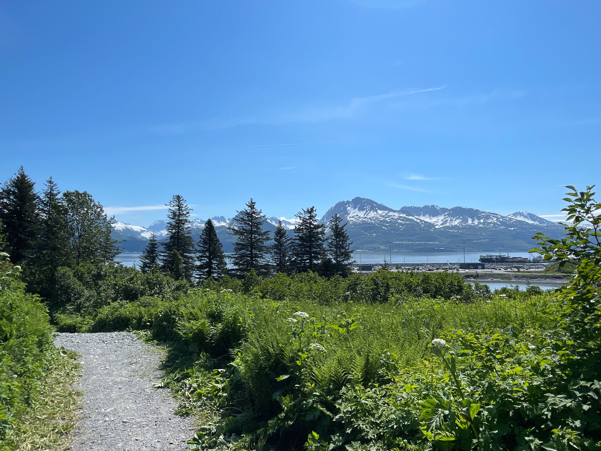 Gravel path through green foliage towards distant snowy mountains and water, sunny. - Dock Point Trail