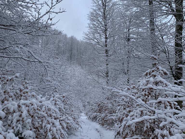 Teufelstal, Geiskopf (LP), Stilles Tal - Absolut ruhige Winterrunde von ...