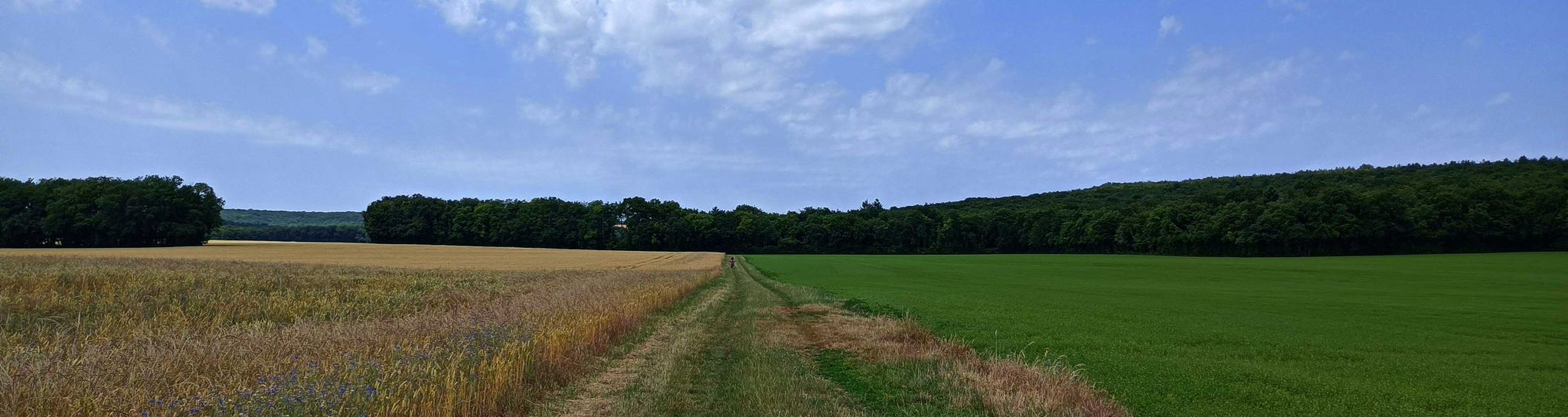 Sur l'ancienne voie Romaine, Chemin de Jacques Coeur.