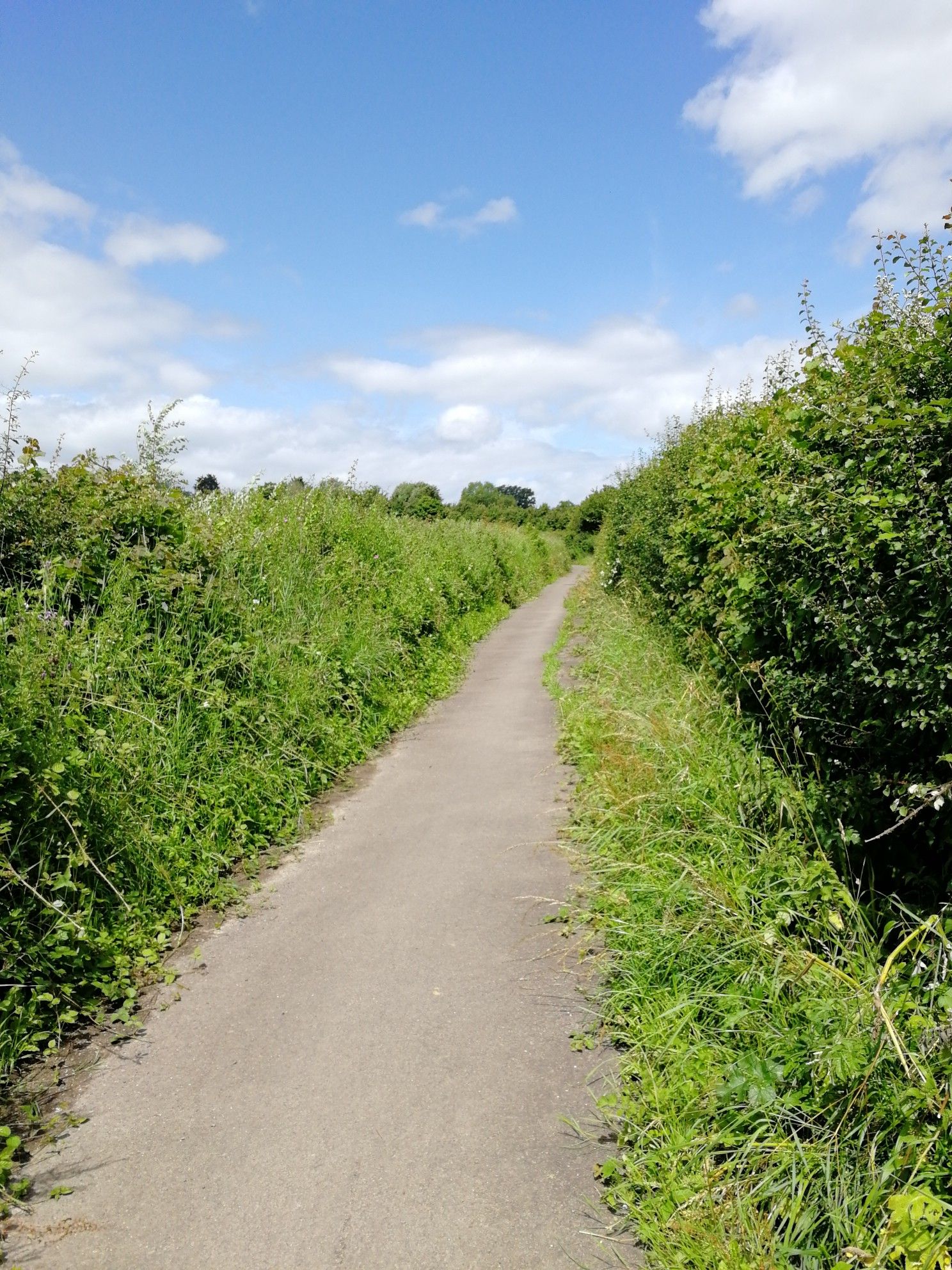 Tytherington lane