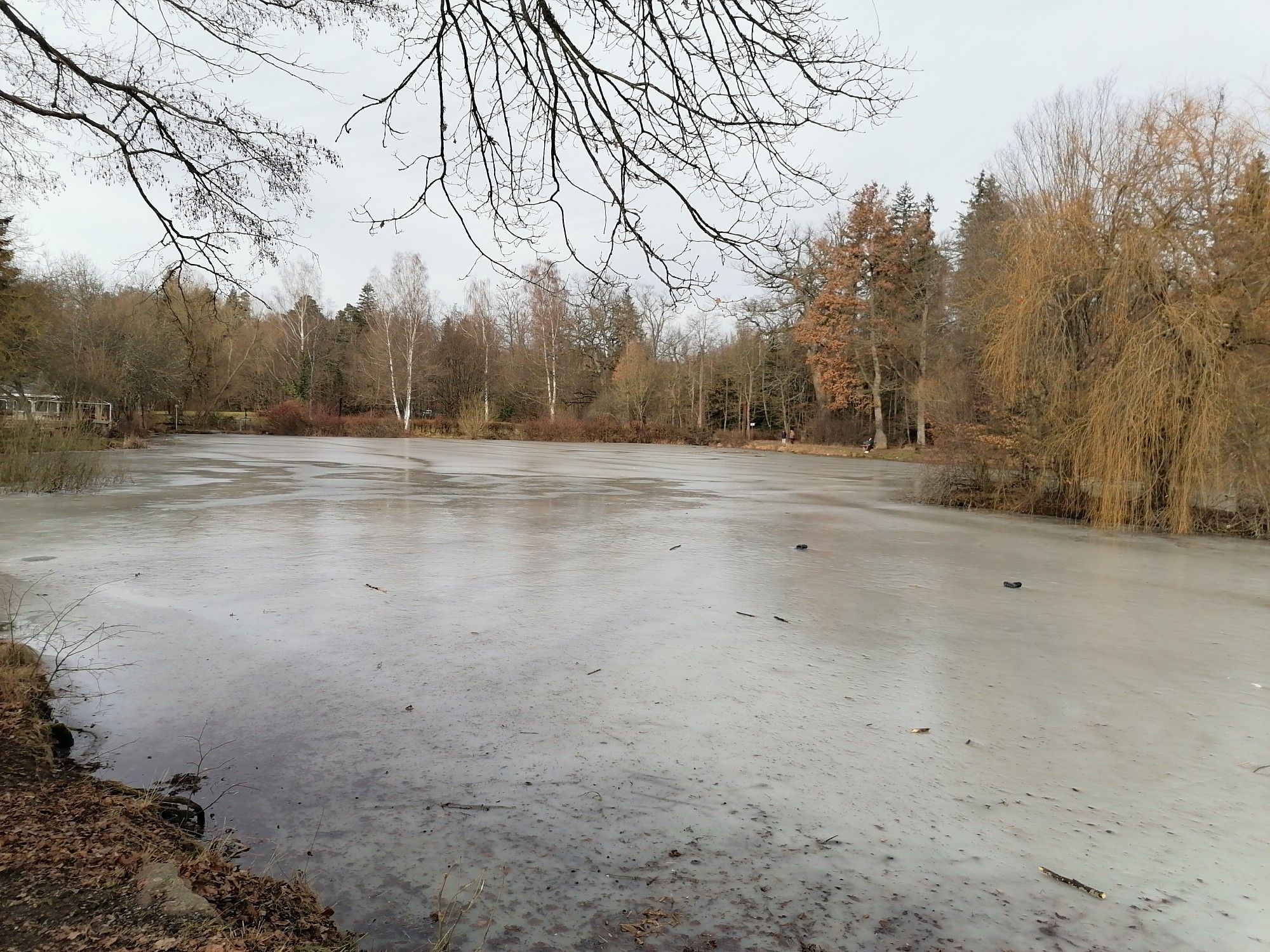 Seehaus 