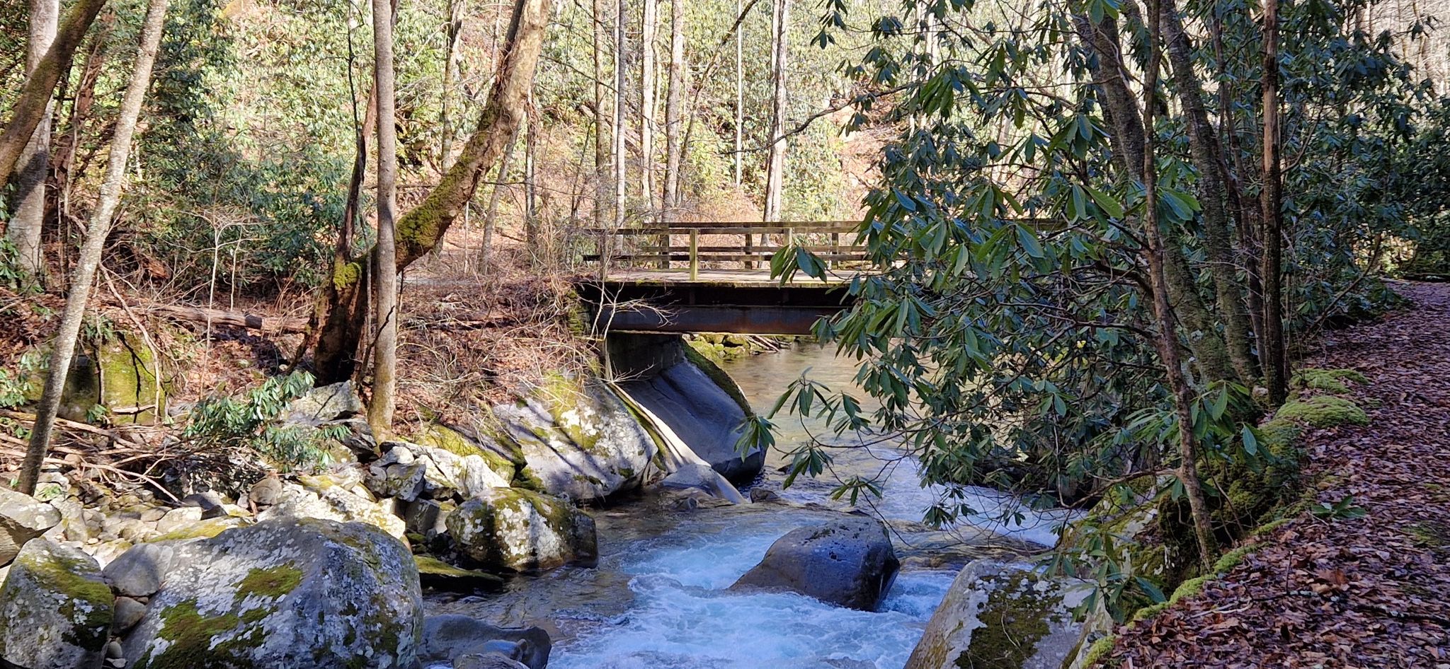 A wooden bridge crosses a rocky river in a sunny forest. - Big Creek and Mount Sterling Loop