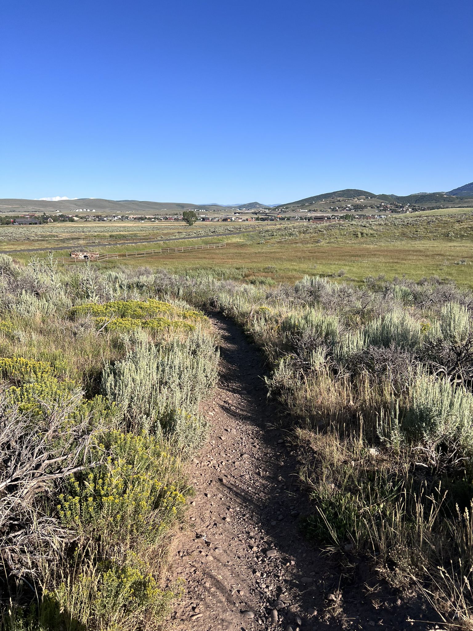 A narrow dirt path winding through green and sagebrush under a clear sky. - Kimball Benchmark – Swaner Preserve loop from Awards bus stop