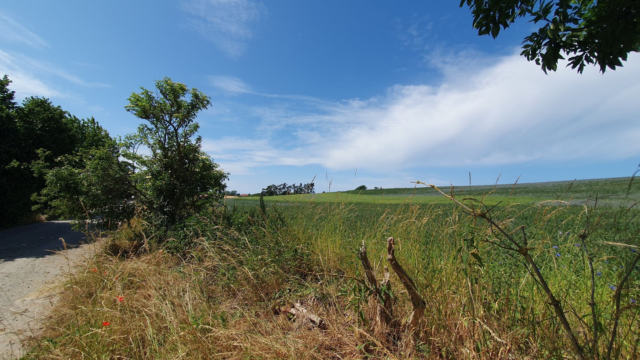 Schöner breiter Radweg