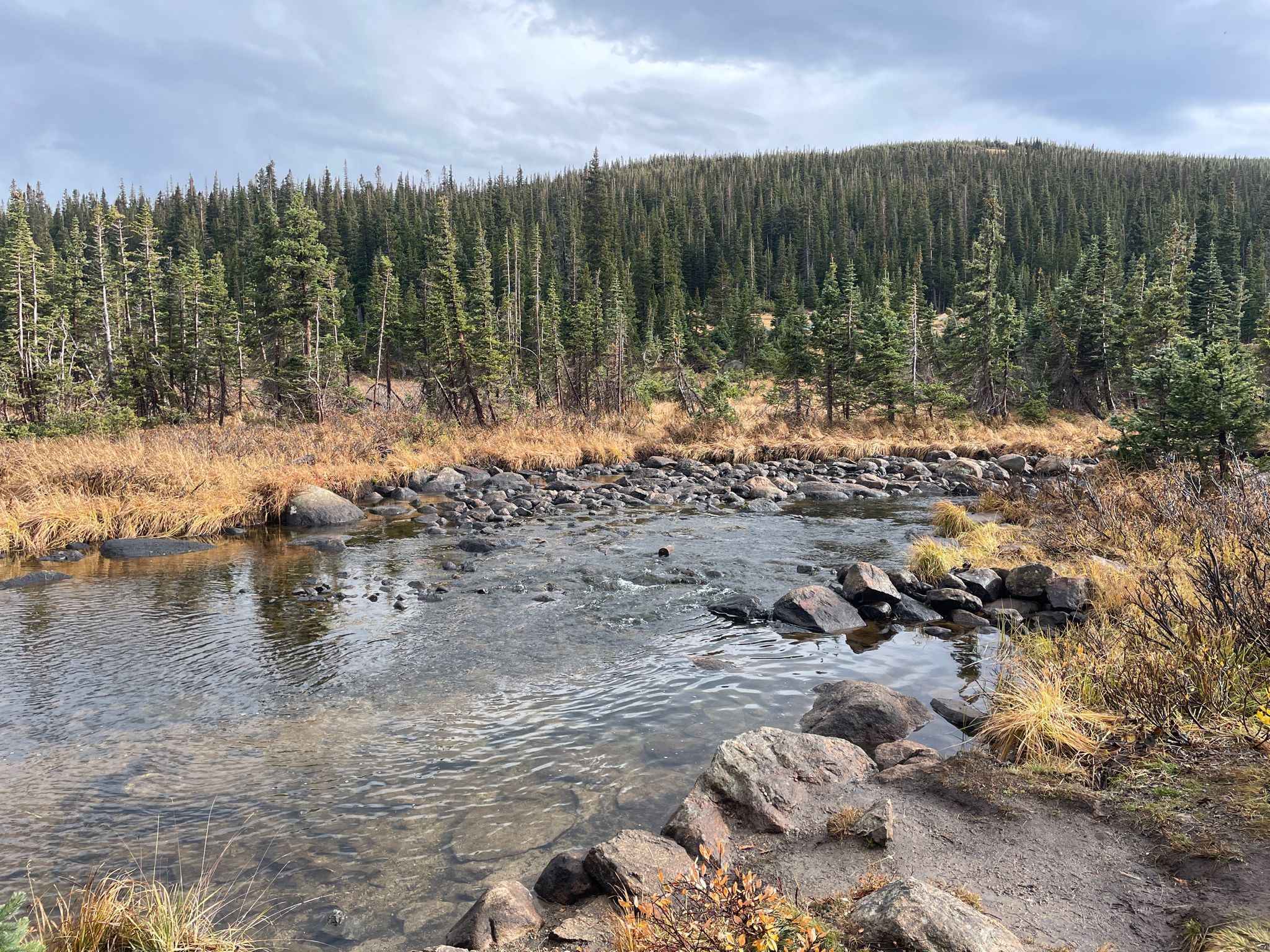 Clear stream flowing through a forest with dry grass, under a cloudy sky. - Jean Lunning and Pawnee Pass Trail Loop