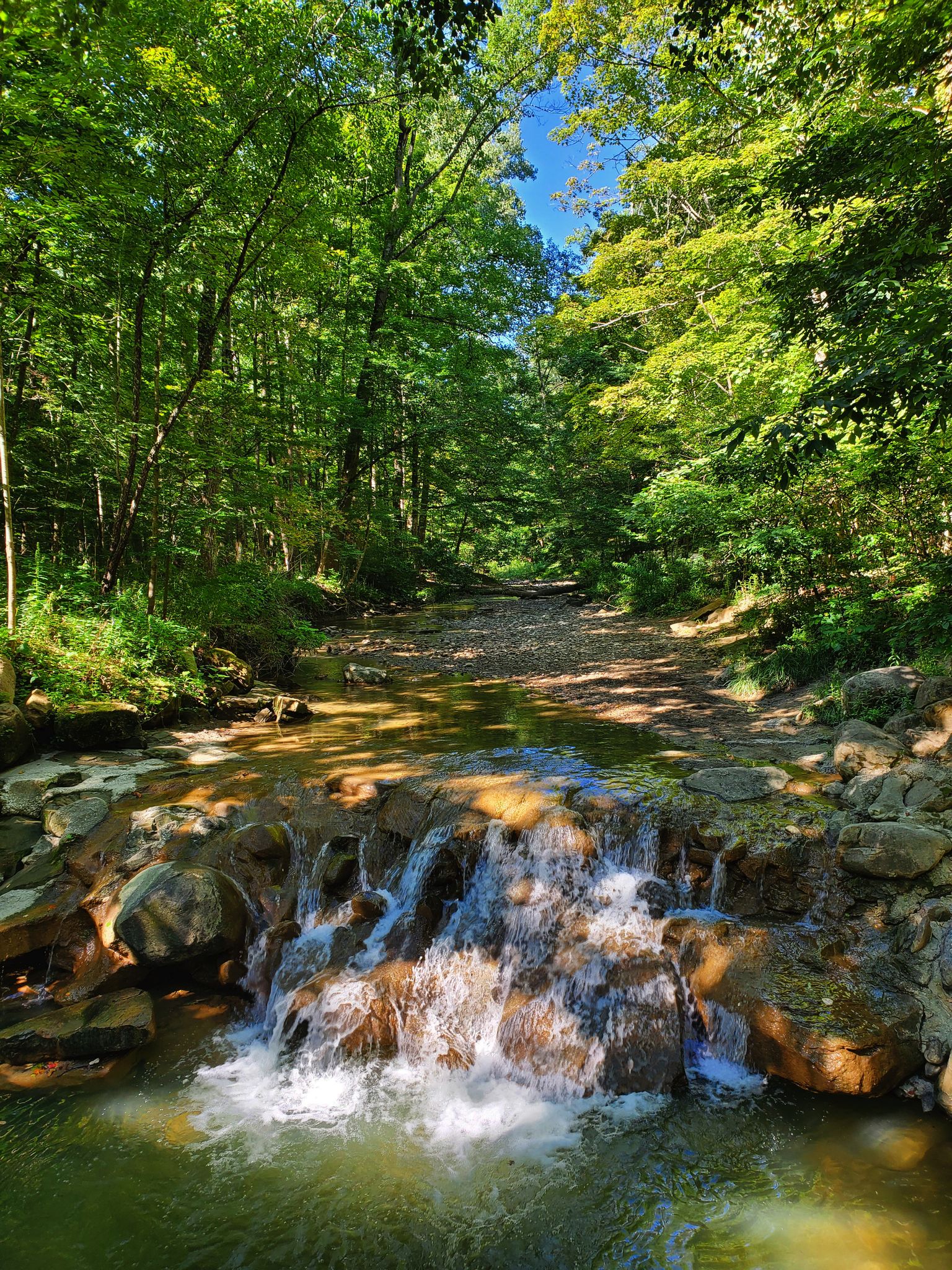 Bright forest stream with a small waterfall cascading over sunlit rocks. - Triple Valley Loop