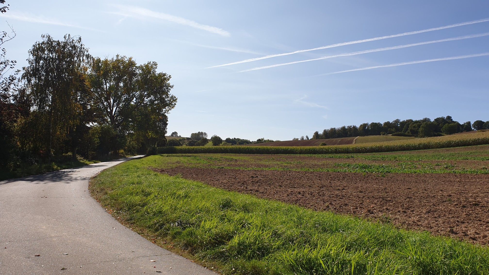Krebeck, am Ortsrand