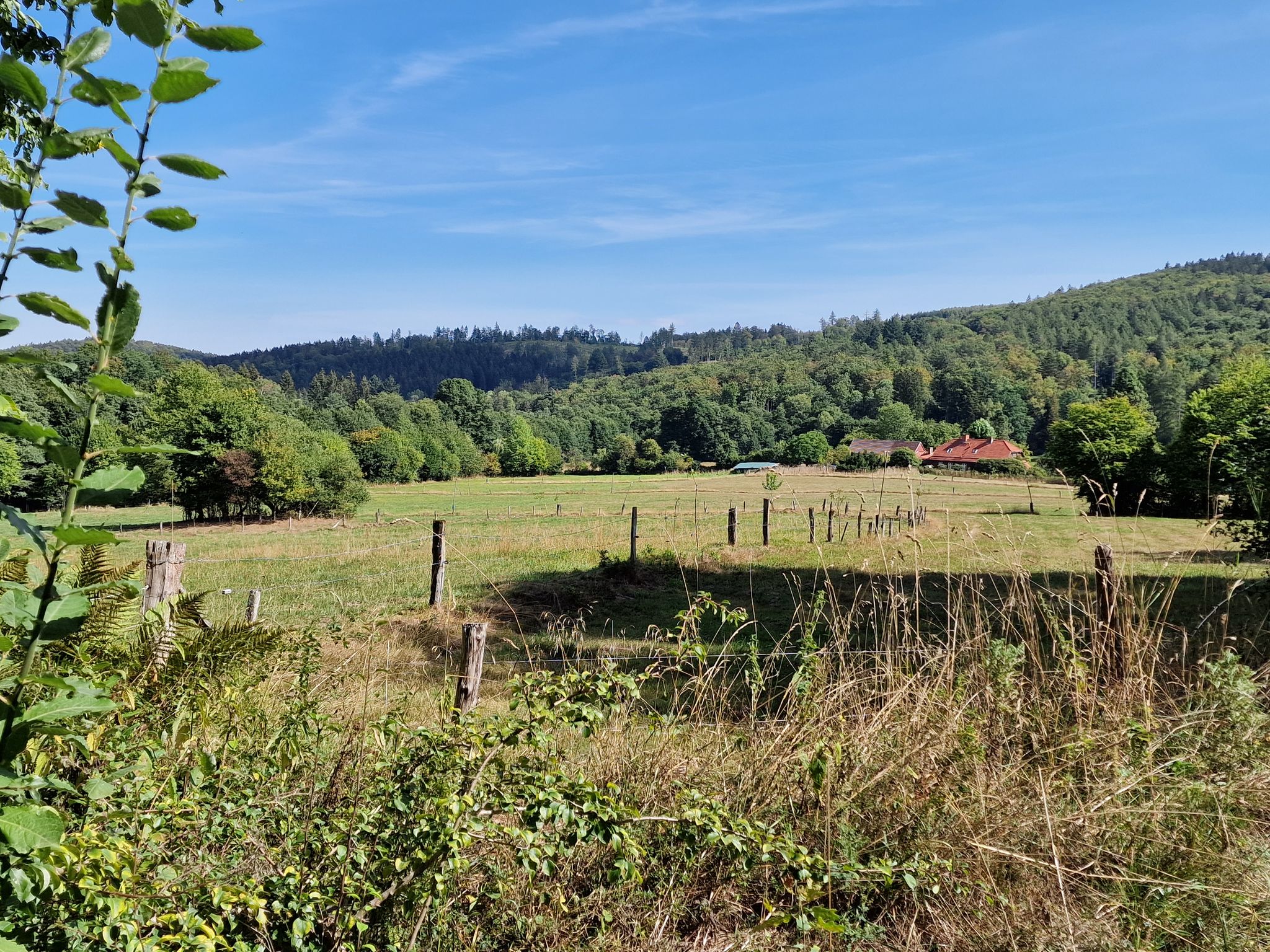 Natur pur in Grimmerfeld