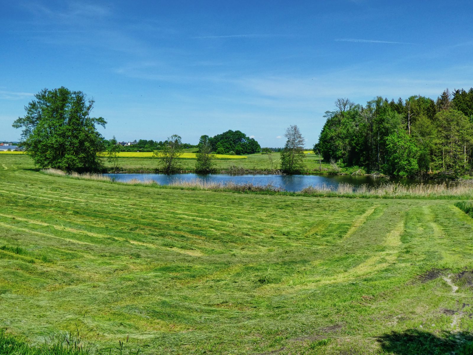 Naturdenkmal Groppacher See