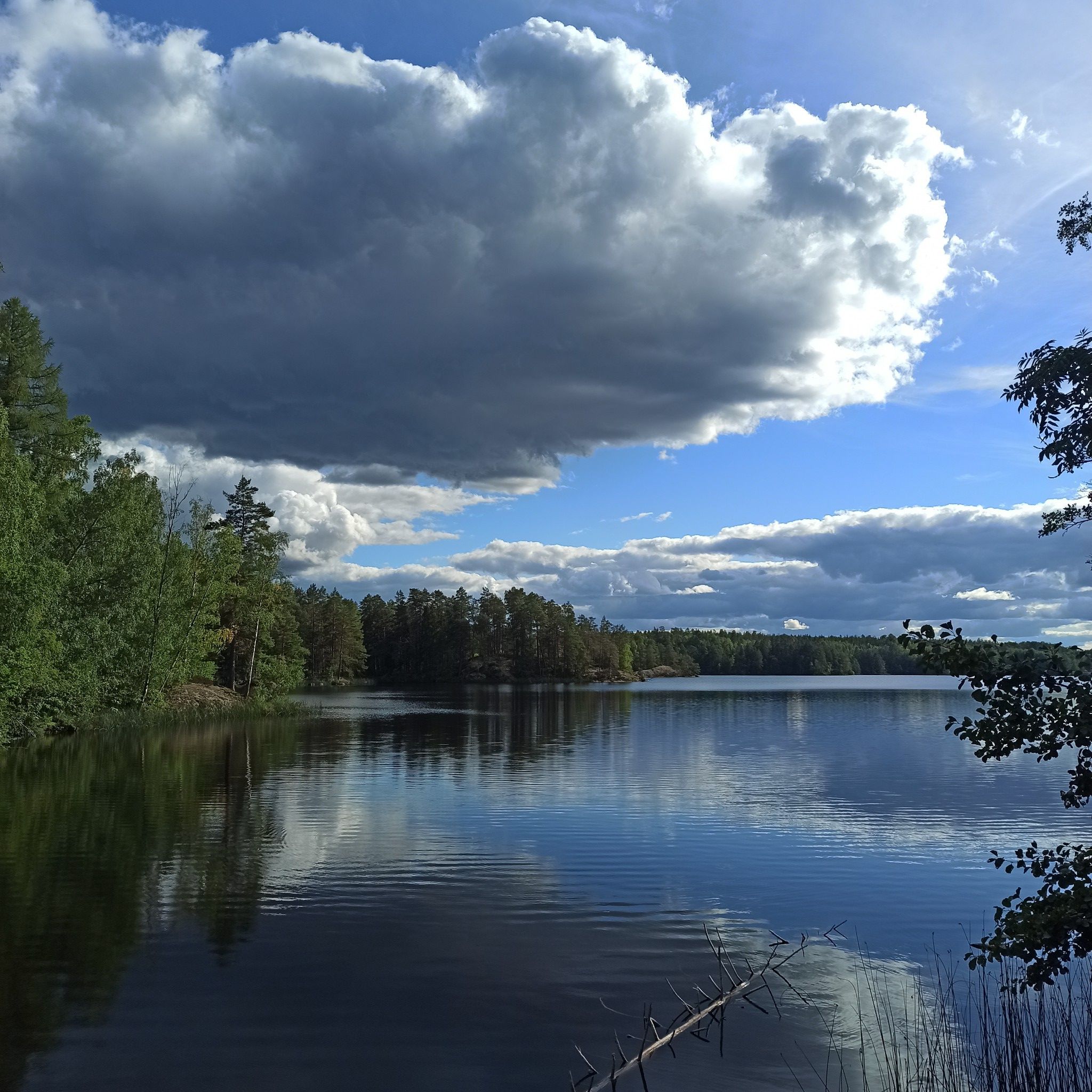 am Hjorten
