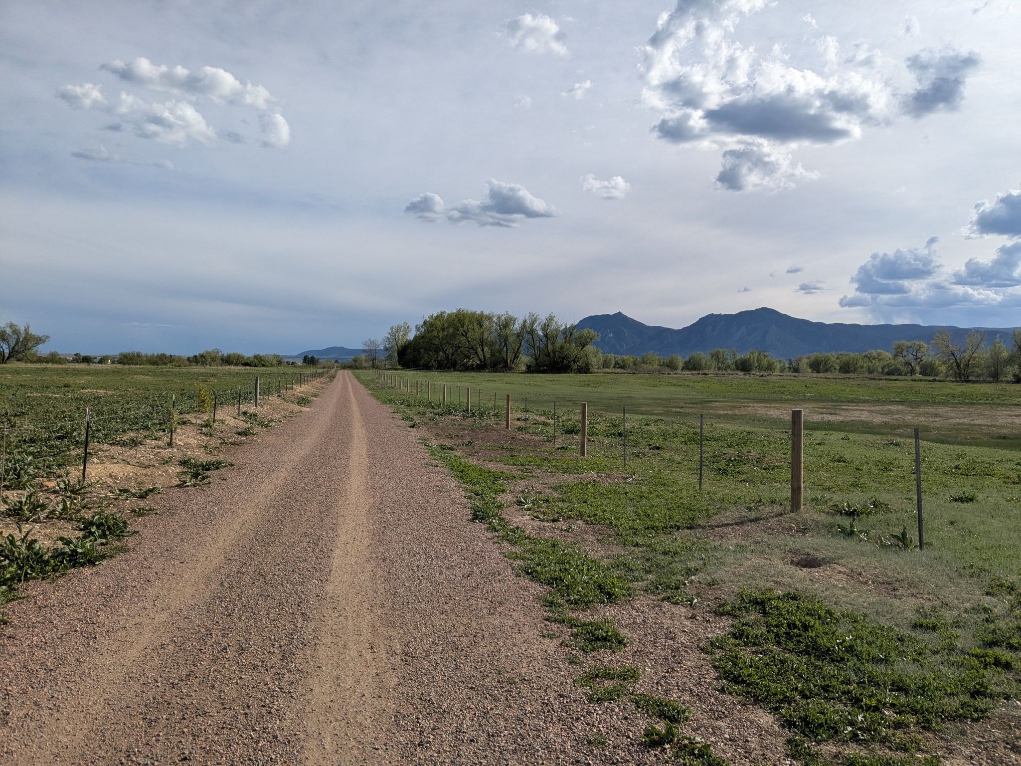 Long gravel path through fields, fences, distant mountains, cloudy sky. - Cottonwood Trail – Twin Lakes Trail loop from High Altitude Observatory