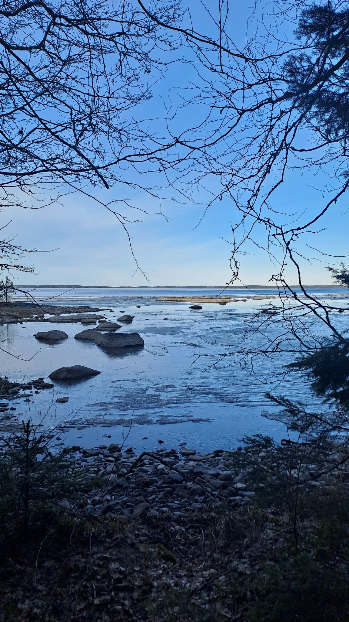 Järvimaisema