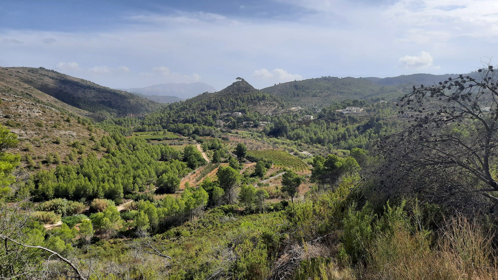 Blick in ein Nebental; im Hintergrund der Montgo Monolit