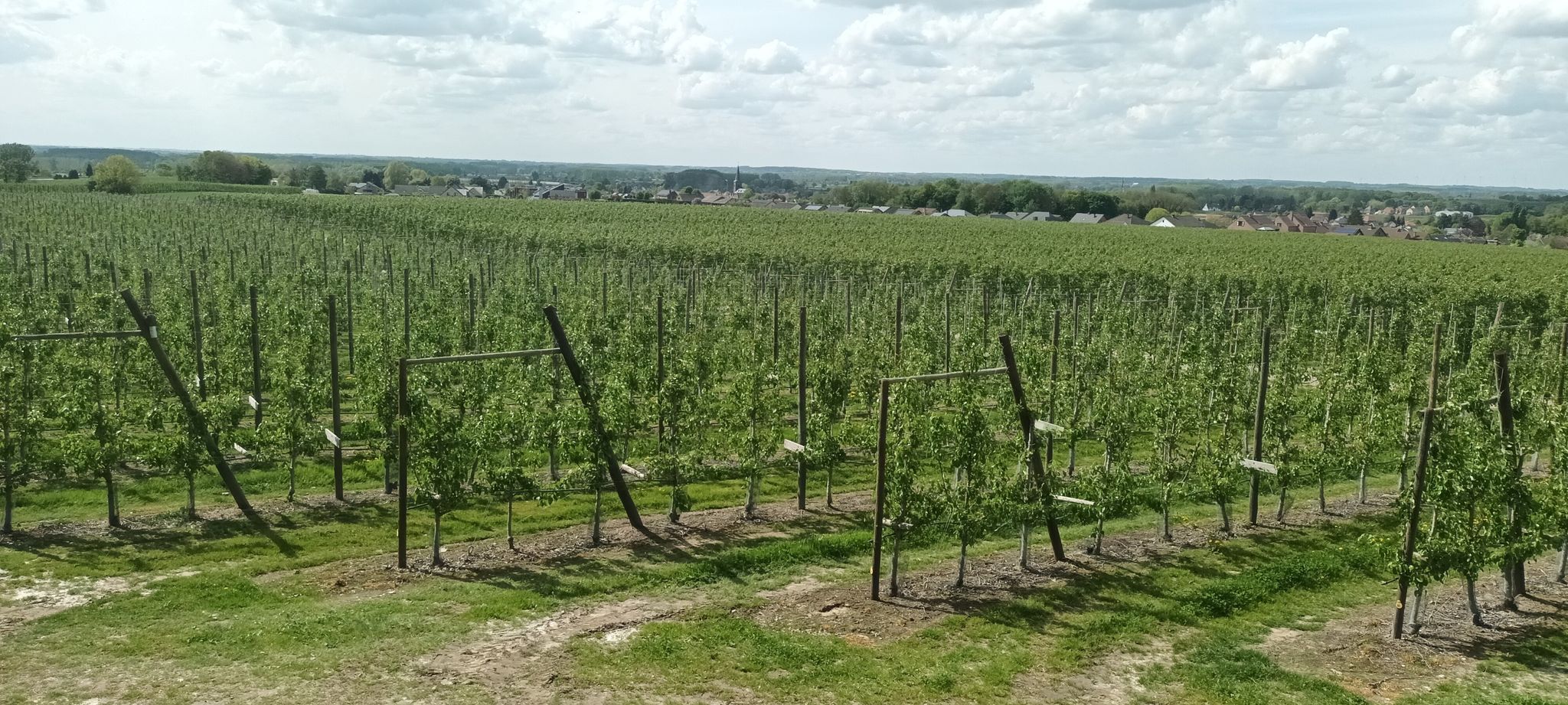 Vue sur Nieuwekerken