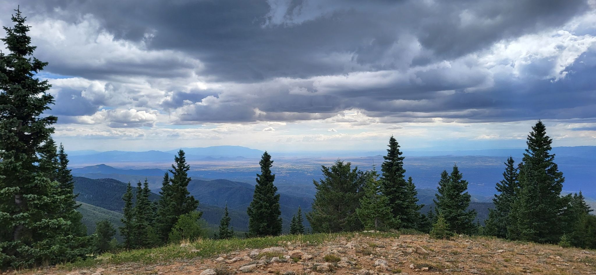 Pine trees on a mountain ridge under a dramatic cloudy sky. - Aspen Vista and Alamos Vista loop