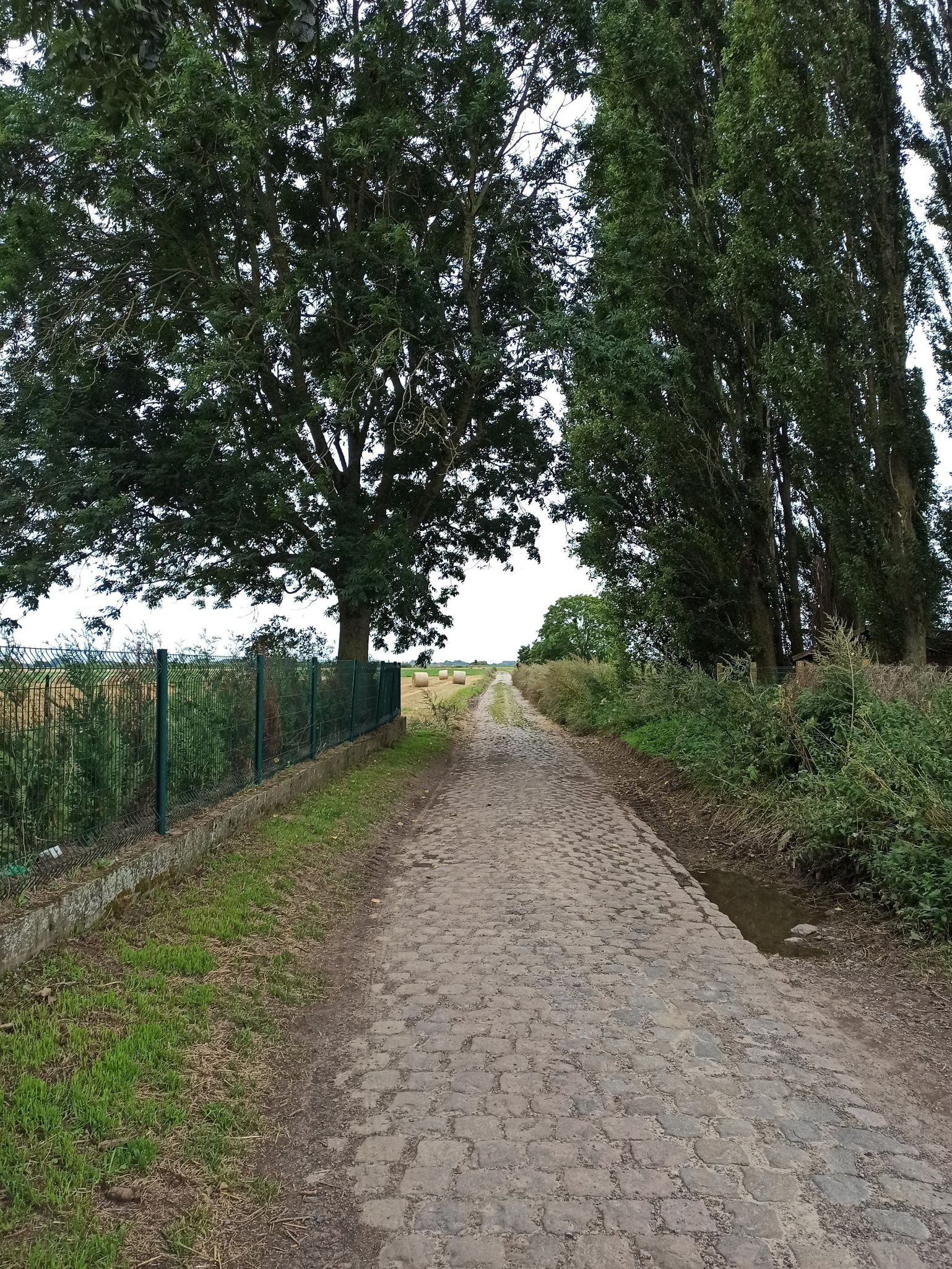 Chemin de Bourghelles