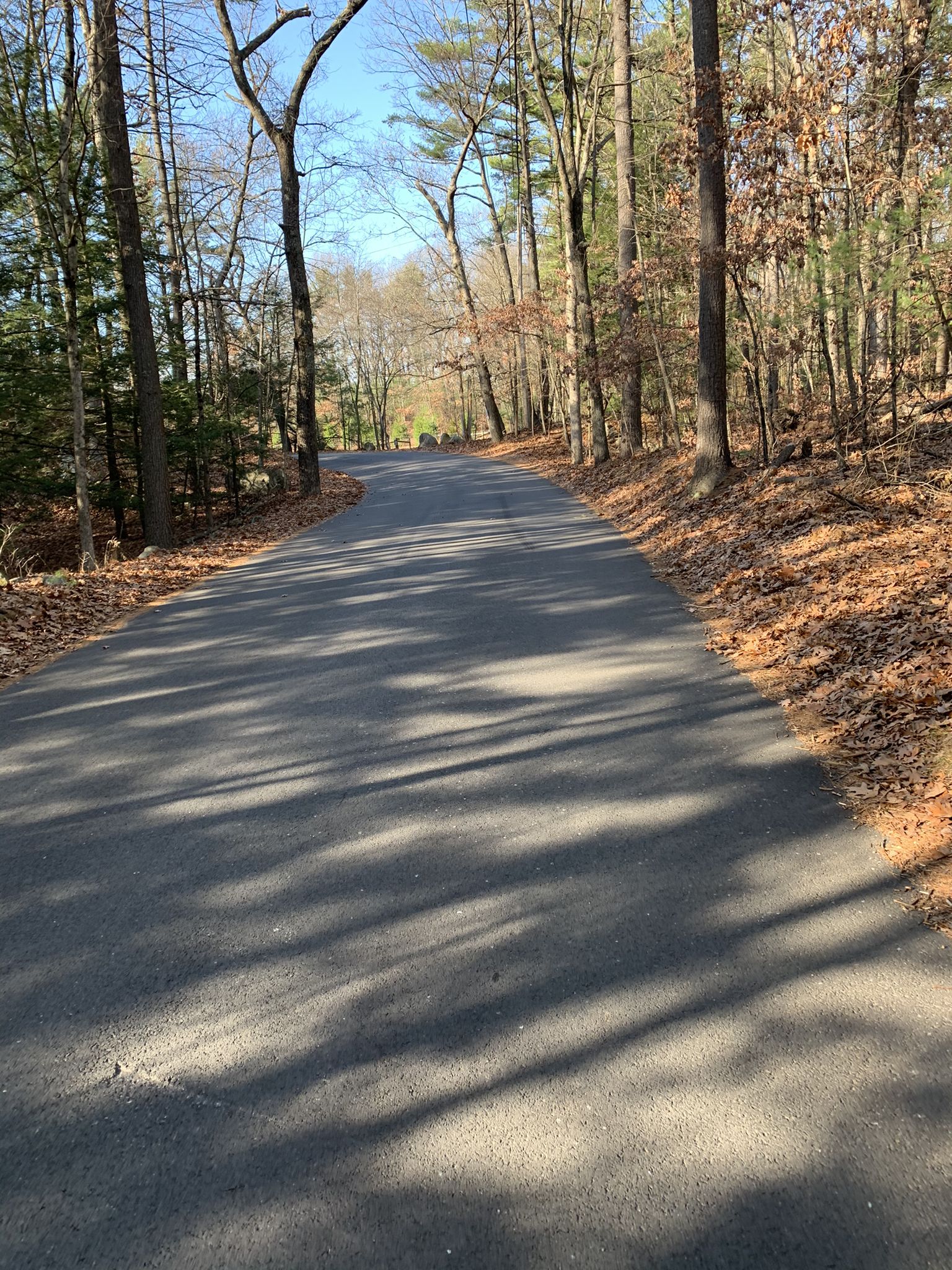 Dappled sunlight on a winding paved road through a forest with fallen leaves. - Great Brook Farm State Park – Great Brook Farm loop from Homewood Suites