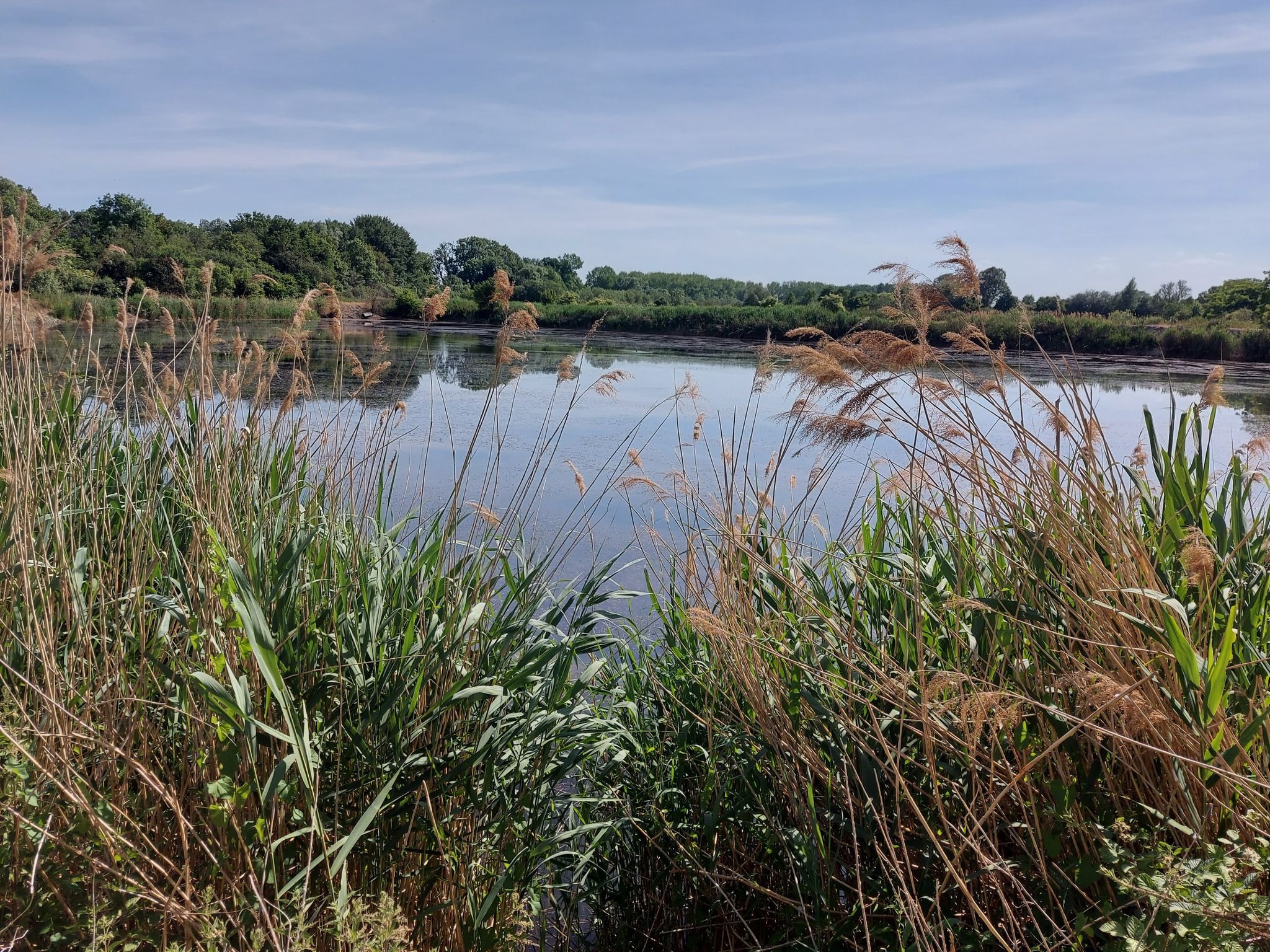Natuurpark Geer