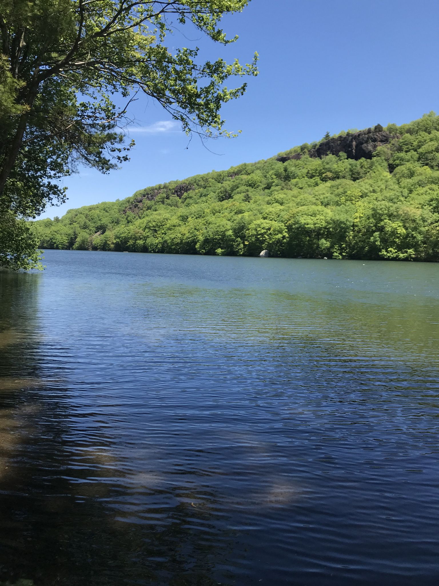 Calm blue water reflects green forested hills under a bright sunny sky. - Chauncey Peak Trail & Bradley Hubbard Reservoir loop run