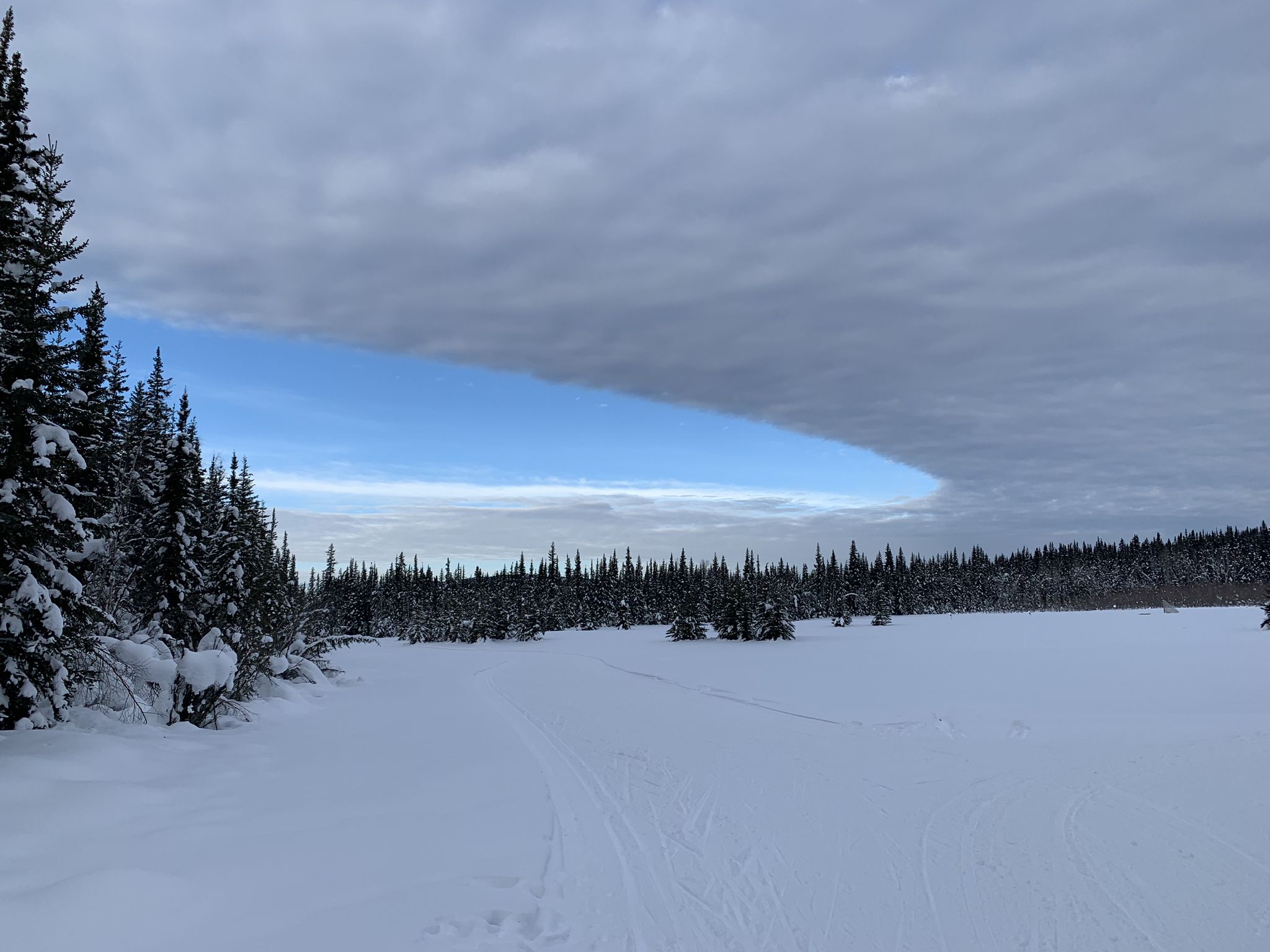 Snow-covered field and evergreen forest under a dramatic cloudy sky with blue patch. - Skarland Summer 6-Mile Loop