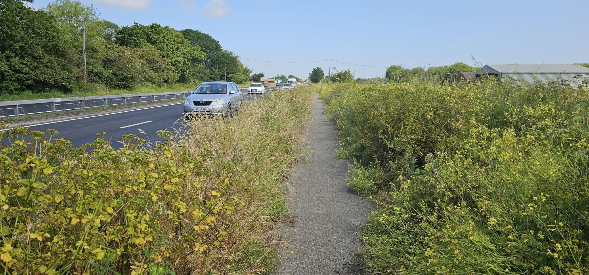 Radweg bei Hopton on Sea, nur 2 km weiter, Bild täuscht, 30 cm