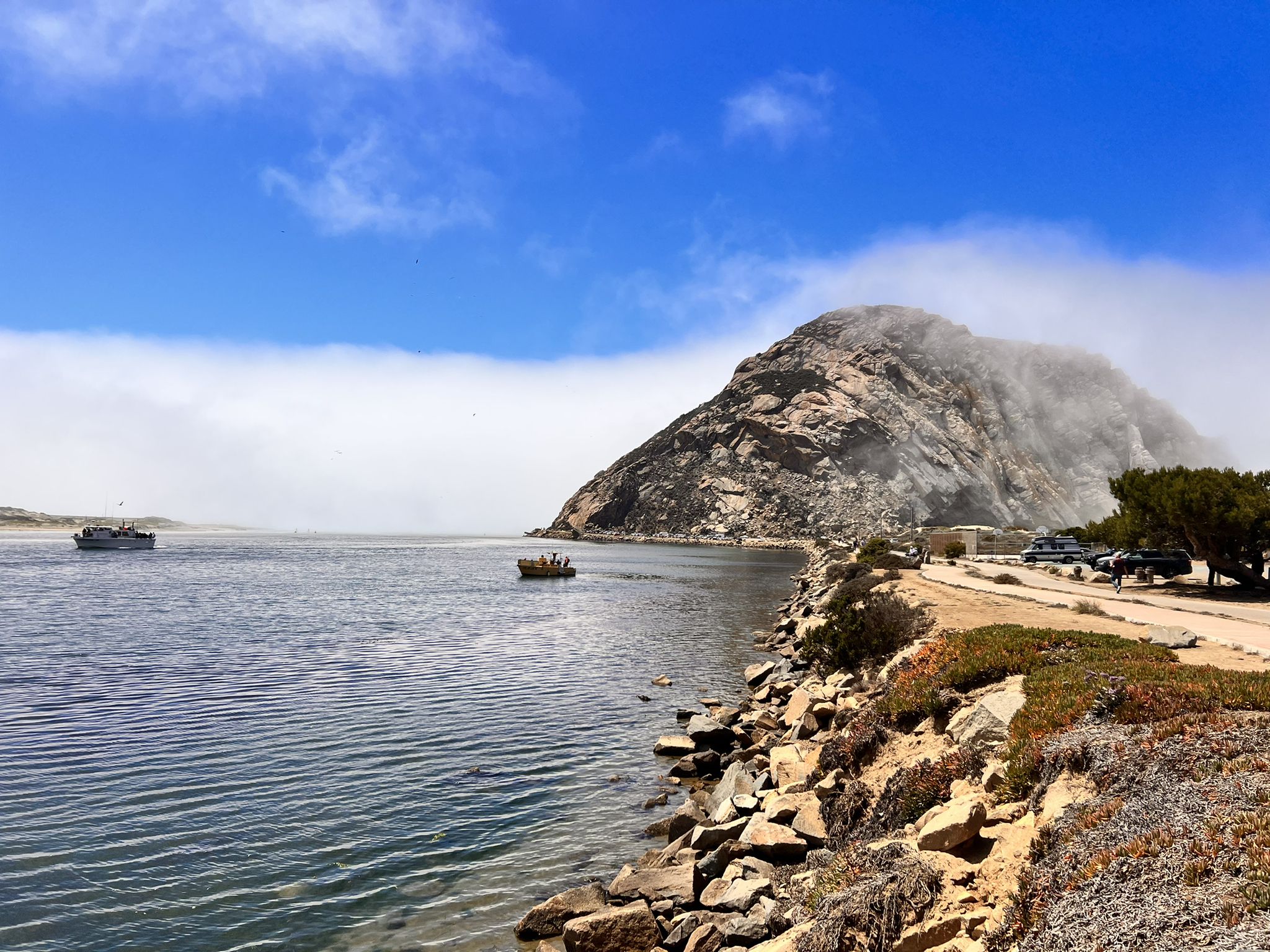 Rocky mountain shrouded in fog, boats on water, sunny coastal scene. - Morro Bay Harbor and Estuary