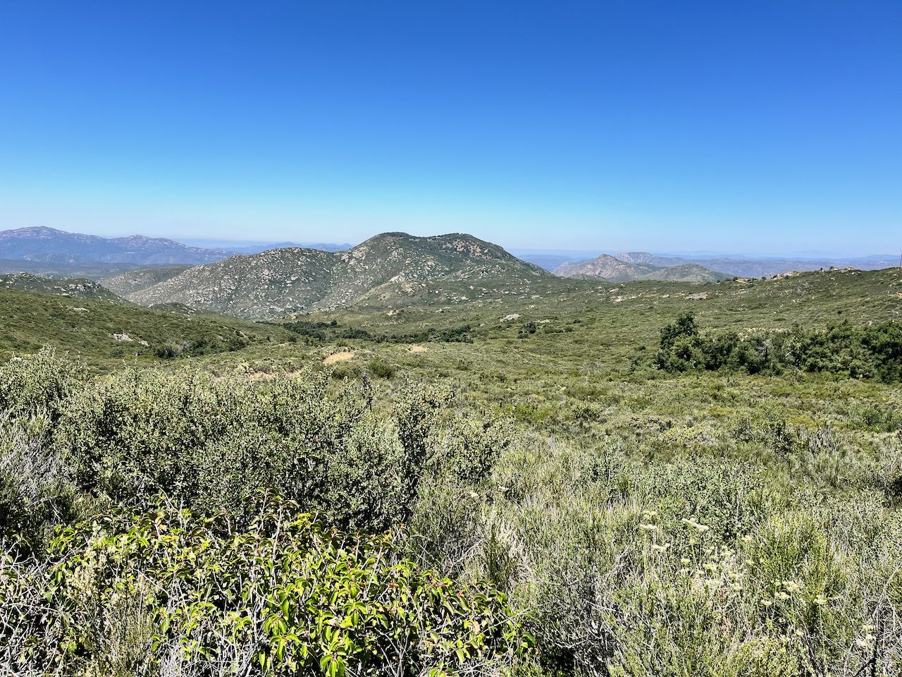 Vast green hilly landscape under a clear blue sky on a sunny day. - Boulder Creek Road