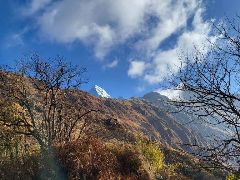 Day 4 pt 2: Khopra Danda nach Swanta | Wanderung | Komoot