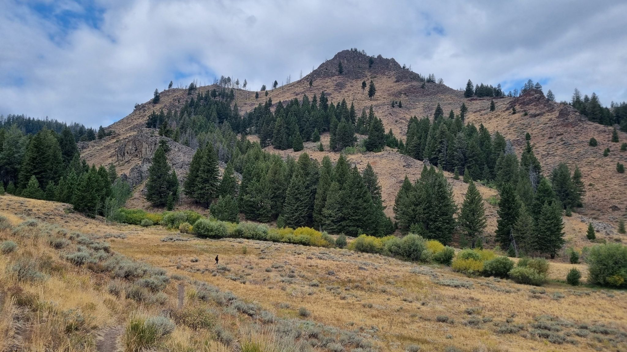 Peaks above Hulen Meadows