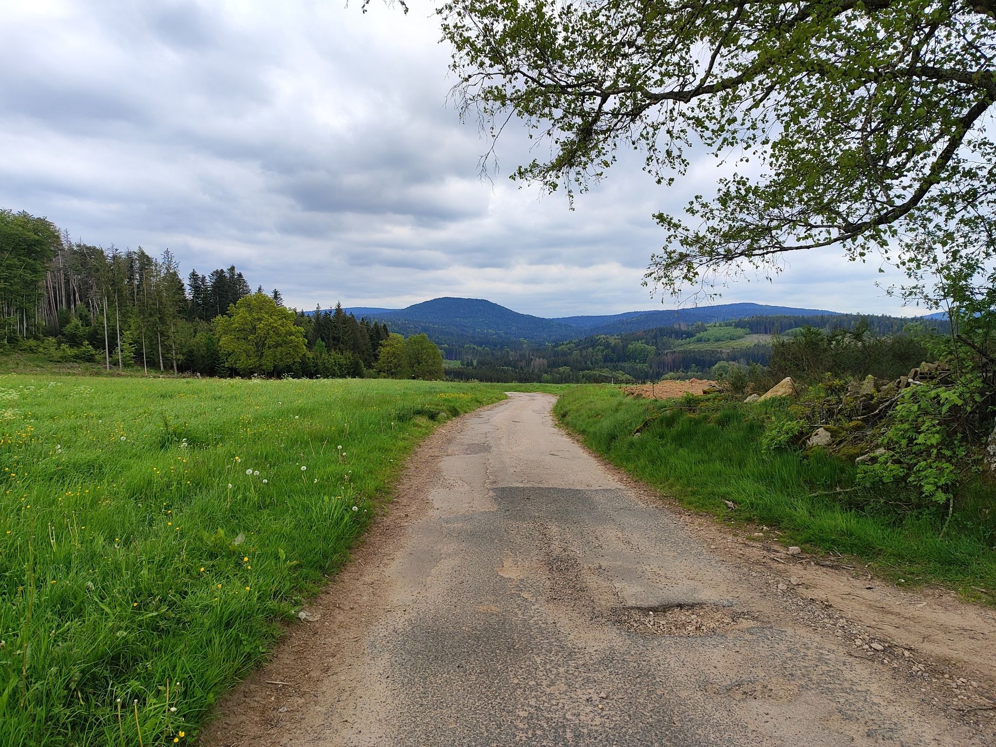 point de vue 360