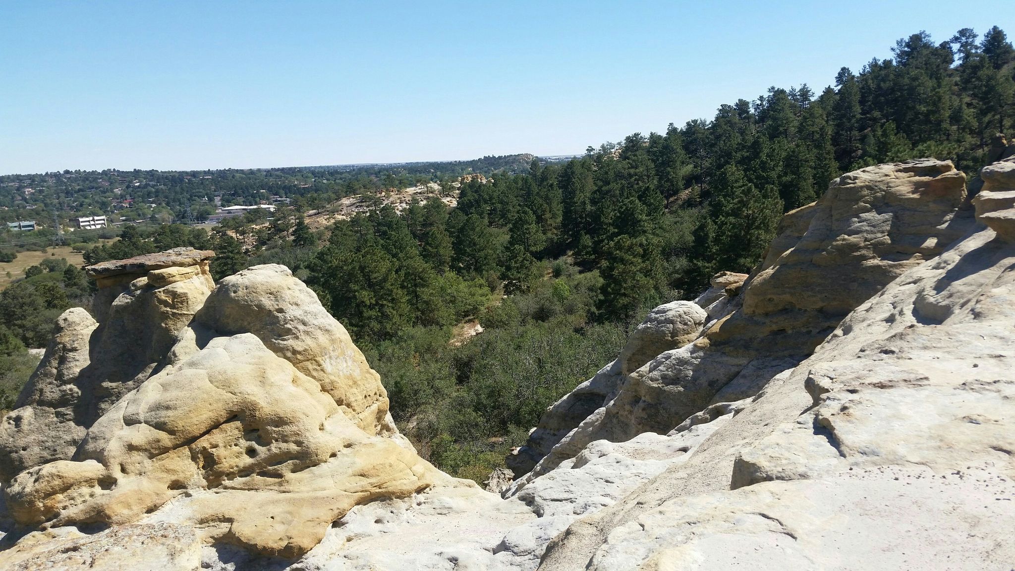 Sunny view of unique rock formations, green forest, and distant landscape. - Palmer Park – Templeton Trail loop from Colorado Springs