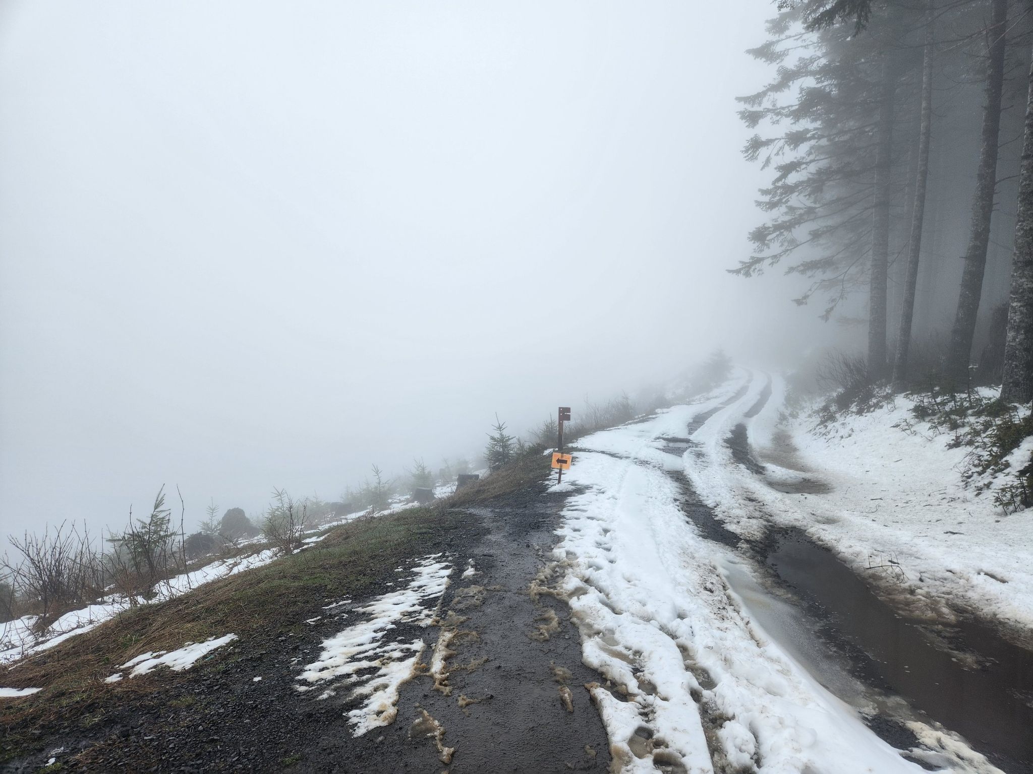 A muddy, snowy road winds through a dense, foggy forest. - Capitol Peak via Greenline Trail
