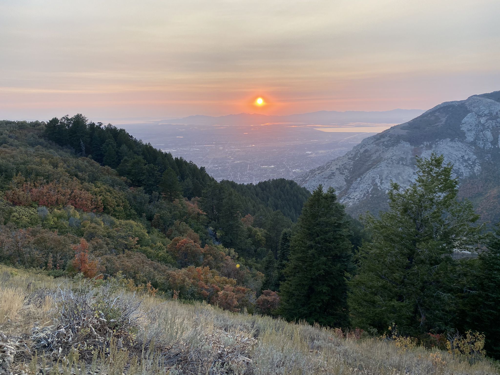 Sunset over a forested mountain valley with a distant city below. - South Skyline Trail