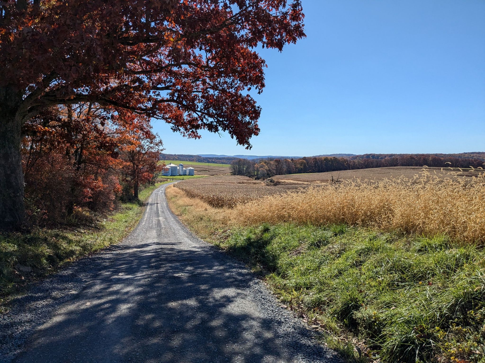 Gravel road winding through autumn fields under a clear blue sky. - Fort Necessity loop