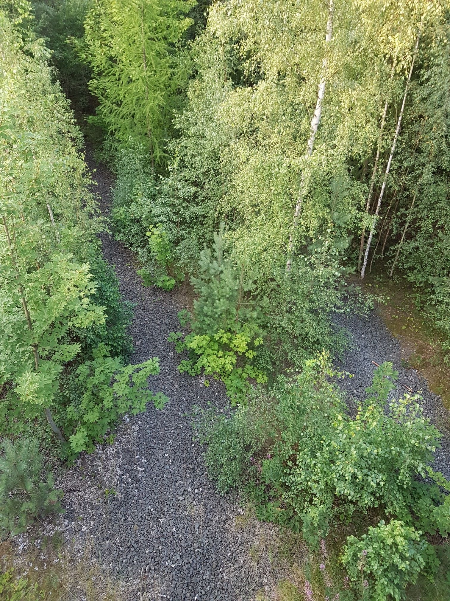 Alter Bahndamm 