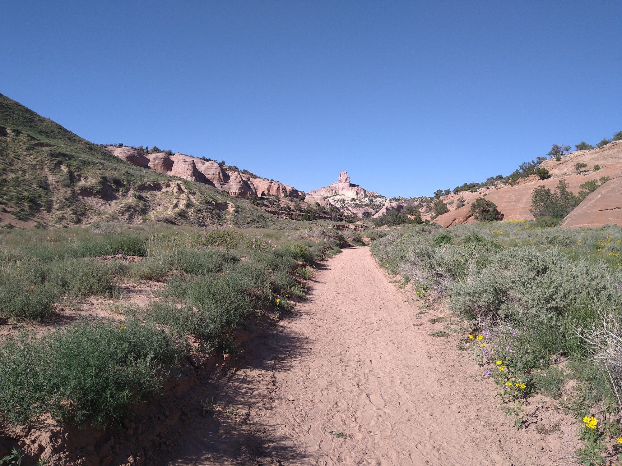 Sunny desert path through low shrubs towards distant rock formations under blue sky. - Church Rock Trail