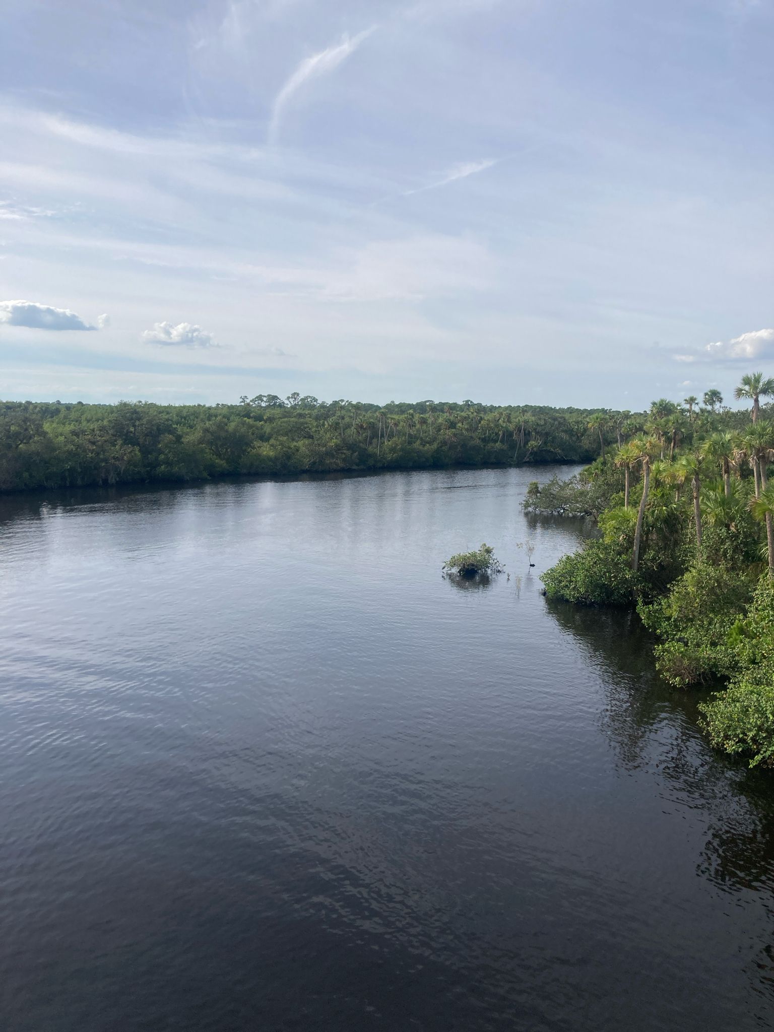 Wide river flowing through dense green forest under a bright, cloudy sky. - Point Saint Lucie loop