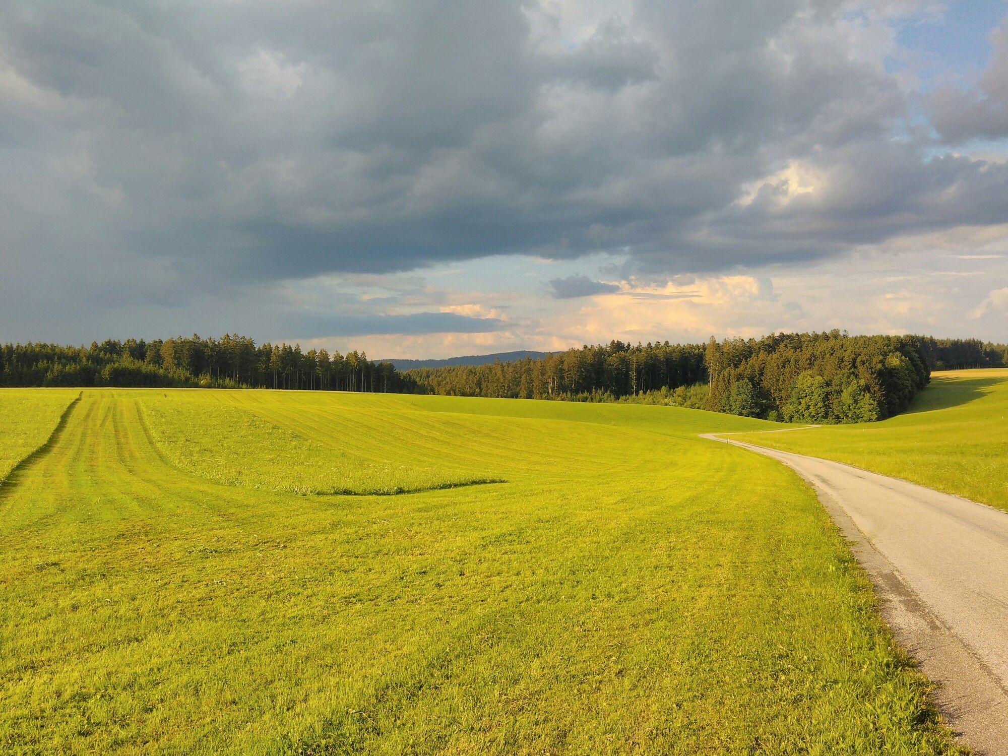 Blick zurück. "Gewitterstimmung."