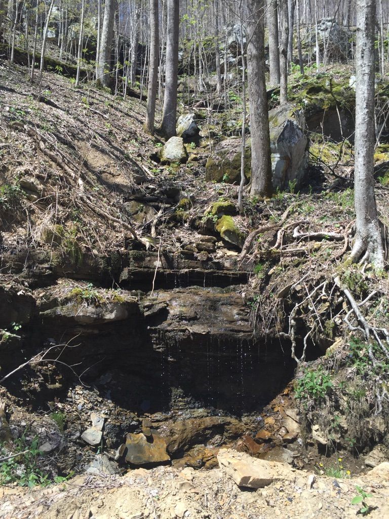 A small waterfall cascades over dark rocks on a steep, wooded hillside. - East Lookout Tower Trail