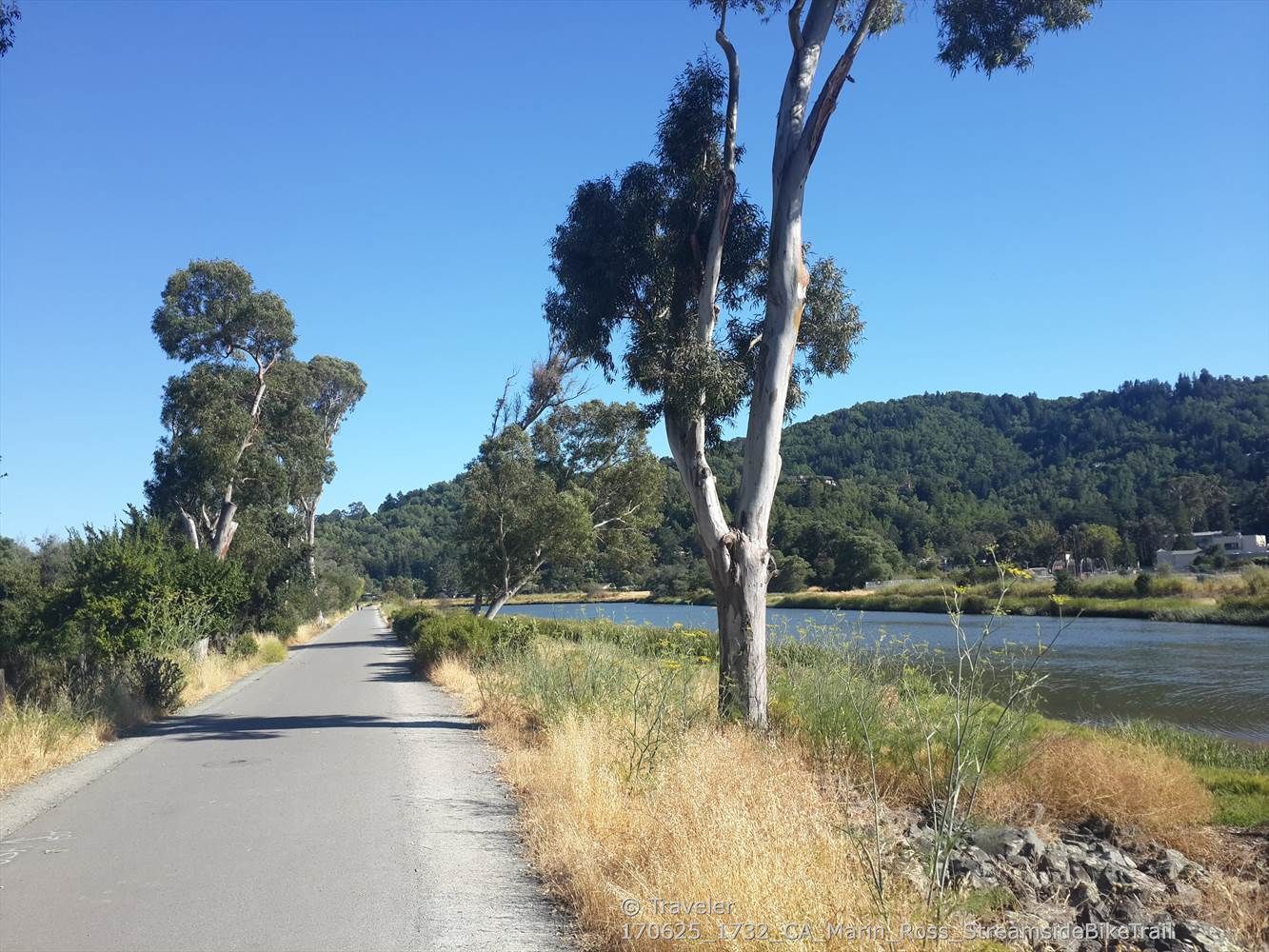 Paved path next to a river, with a large tree and distant green hills. - South Stinson Beach Overlook via Panoramic Highway