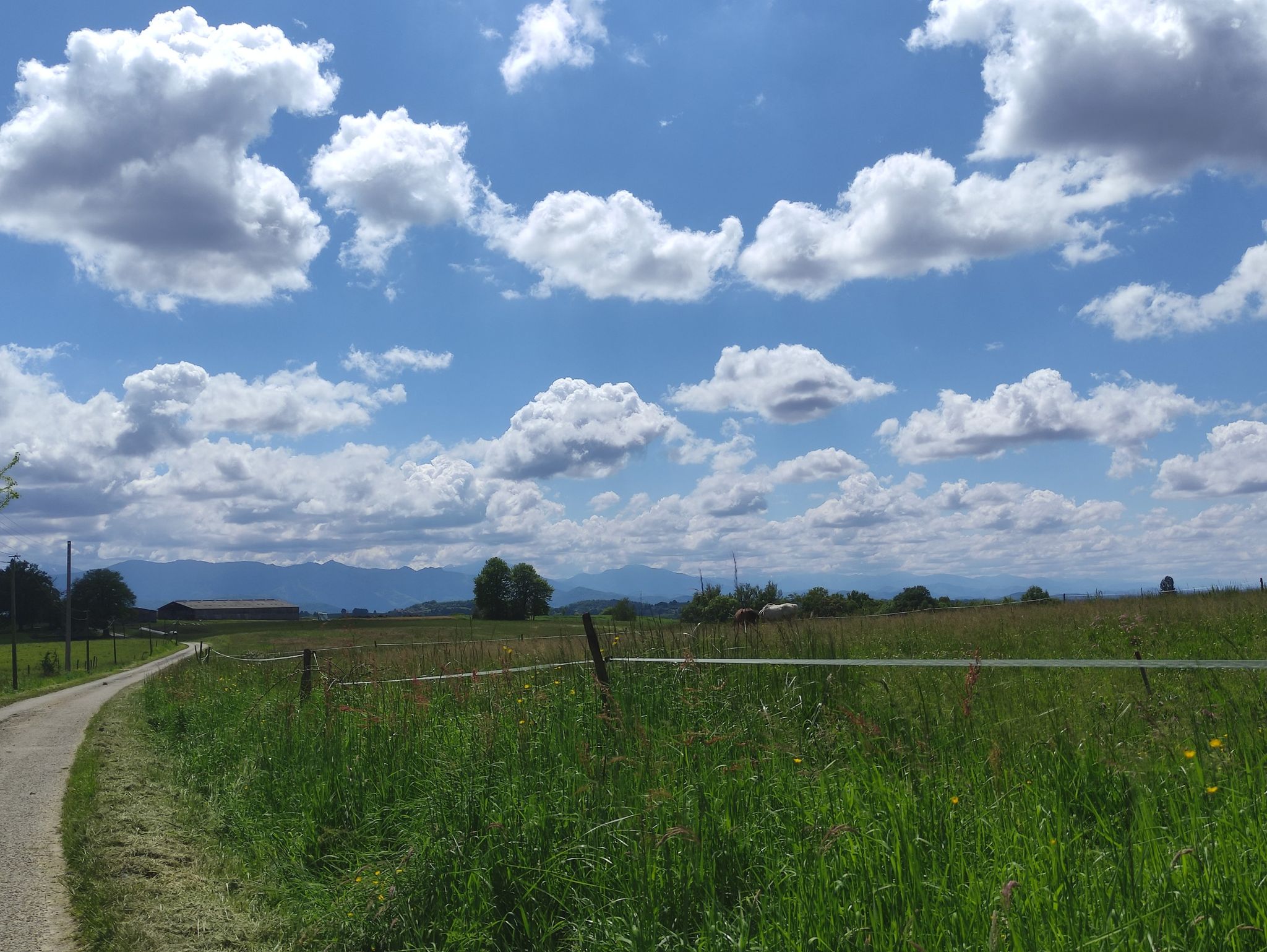 Campagne ariégeoise.