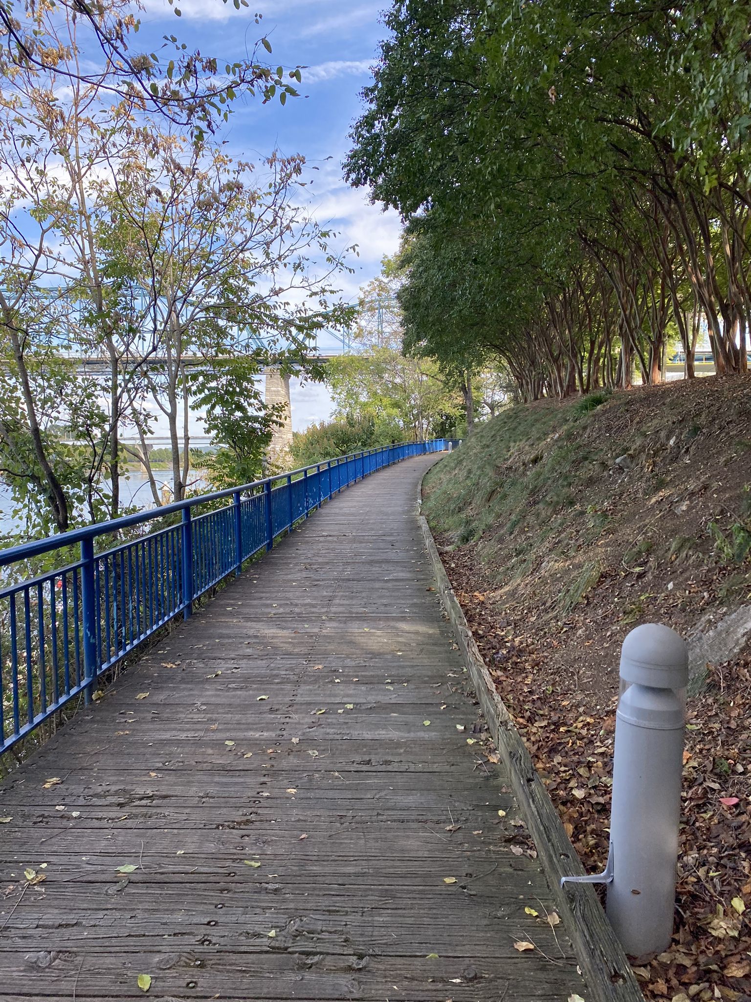 Wooden boardwalk with blue railing winding alongside a river and trees. - Blue Goose Hollow Park – Walnut Street Bridge loop from Chattanooga