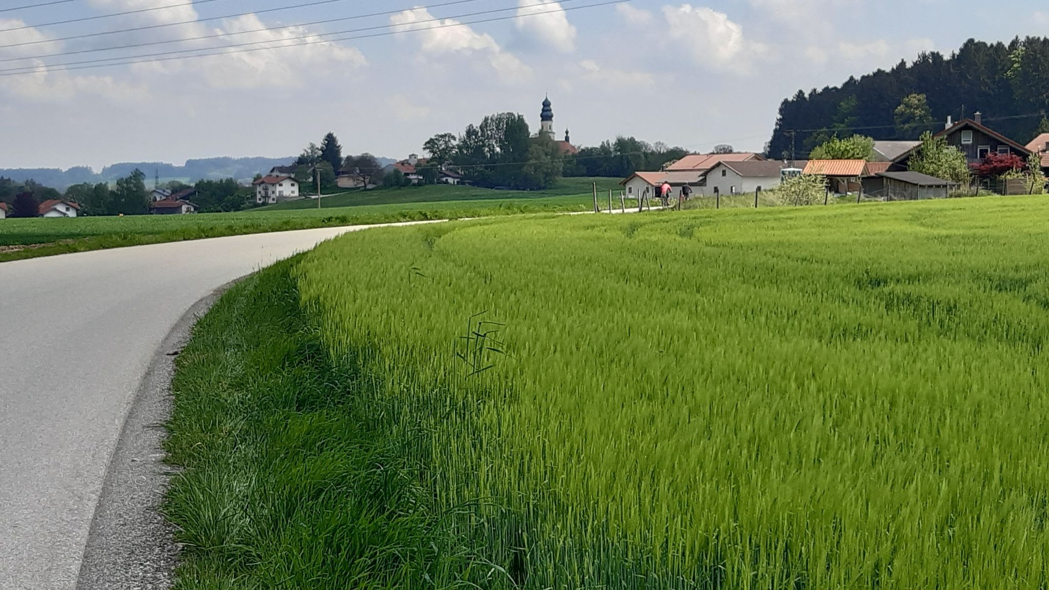 Gerstenfeld bei Wang