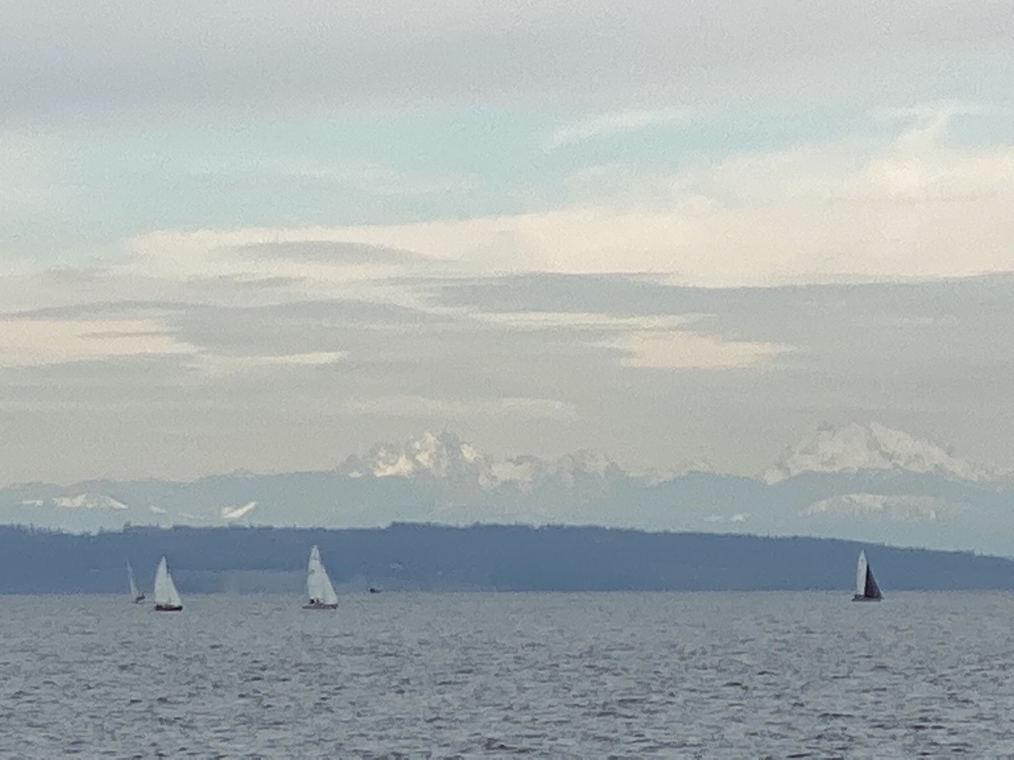 Sailboats on water with distant snow-capped mountains under an overcast sky. - Larry Scott Memorial Trail