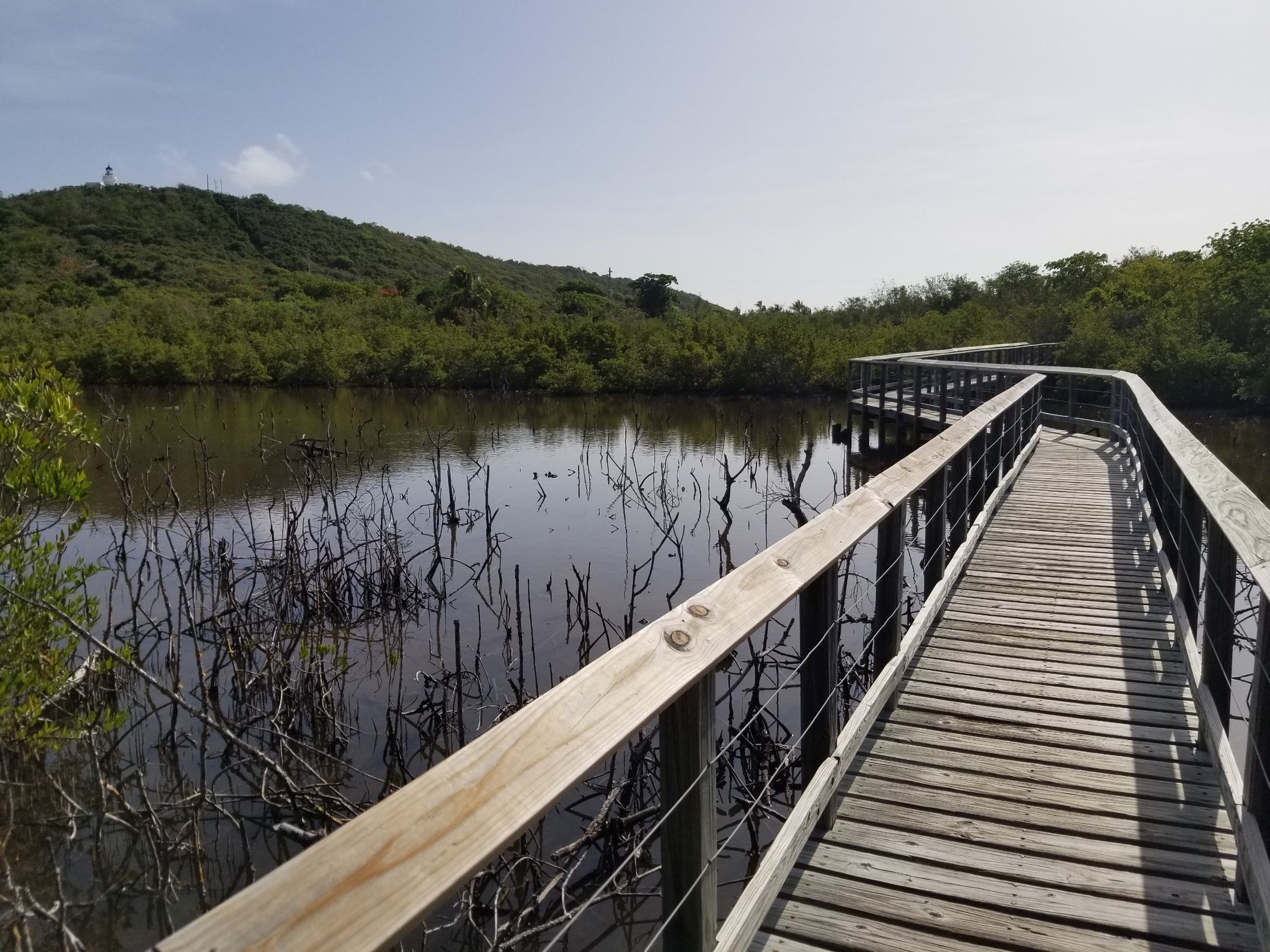 exit wooden trail