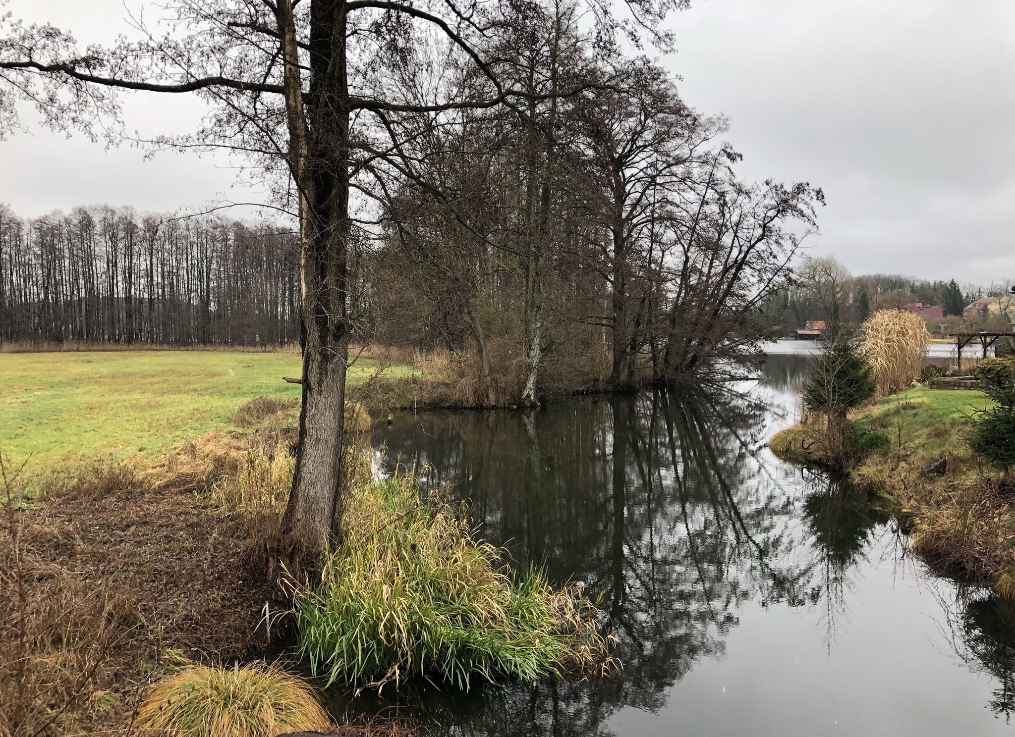 Blick Richtung Nesselpfuhl