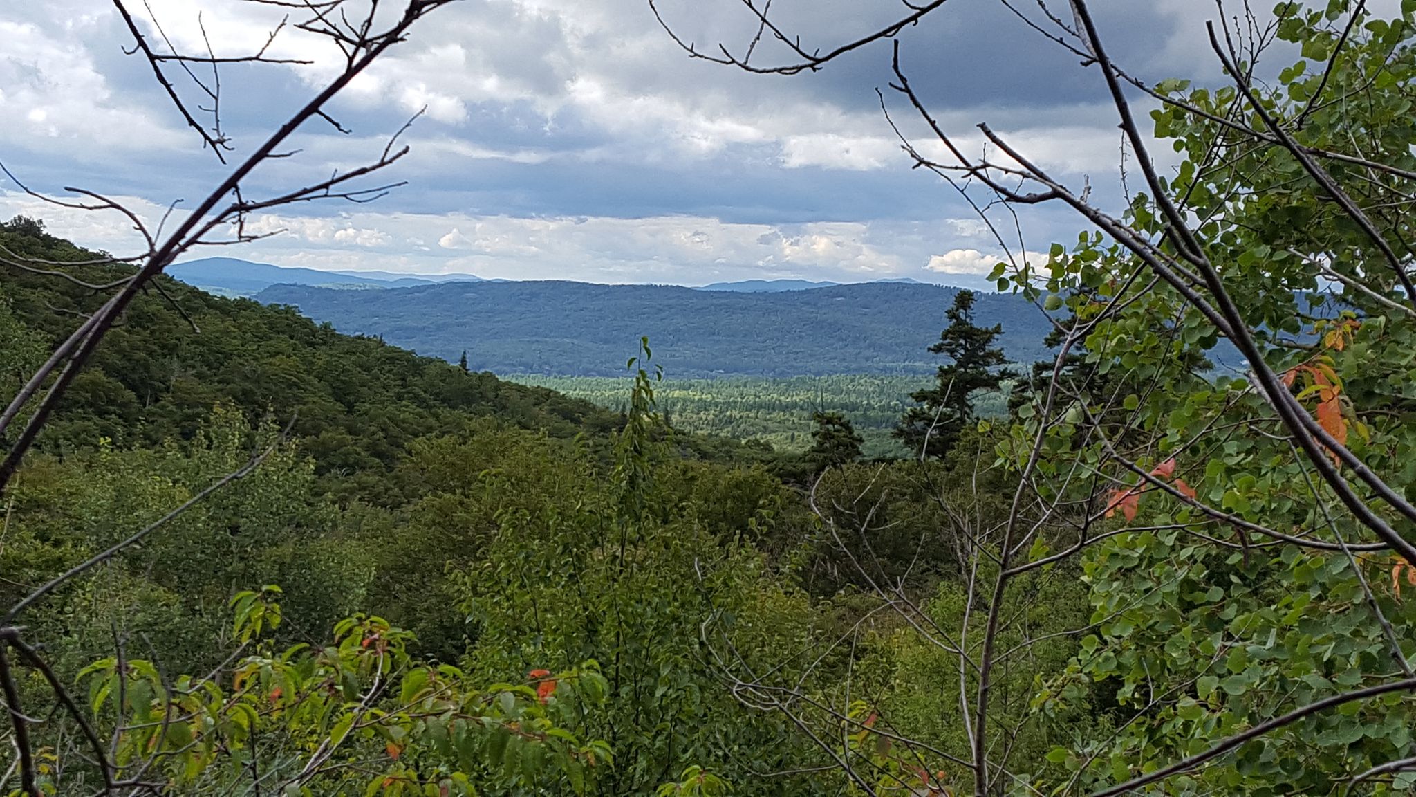 A mountain vista framed by tree branches, showing distant forested hills. - Franconia Notch Bike Path